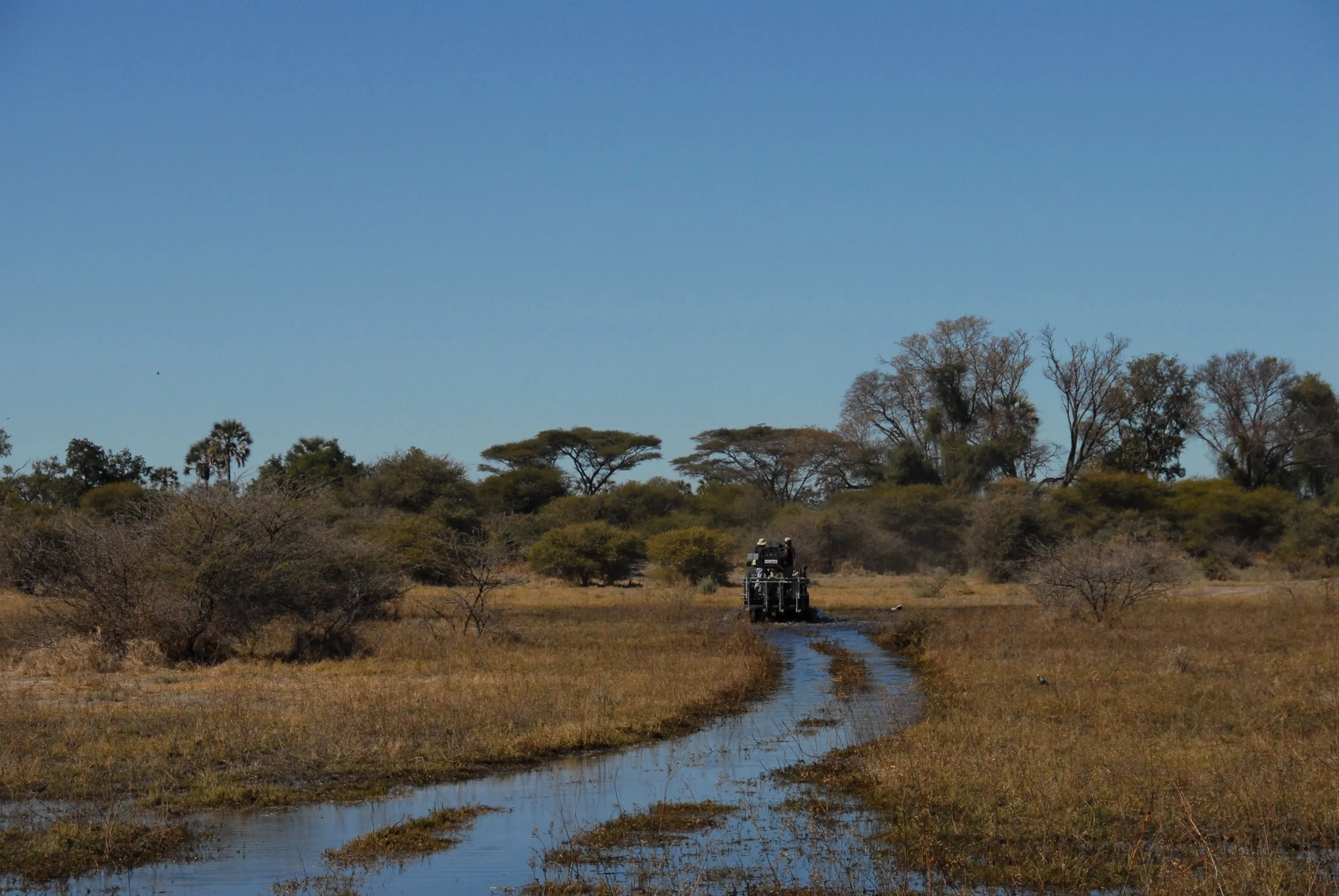 african safari 3d